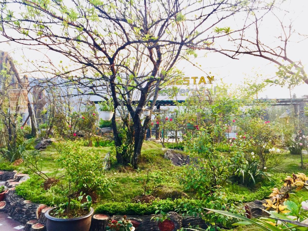Homestay Discovery Sapa Exteriér fotografie